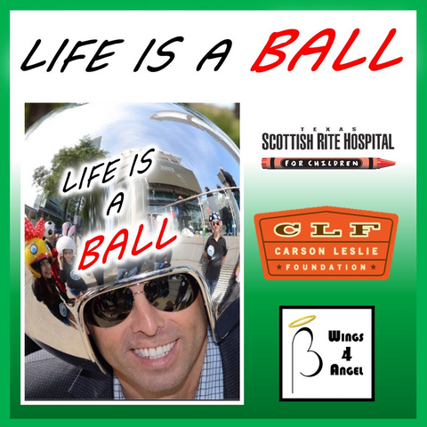 Life Is A Ball Campaign<br />(Make a Donation)